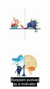 Why Do We Get Bored?