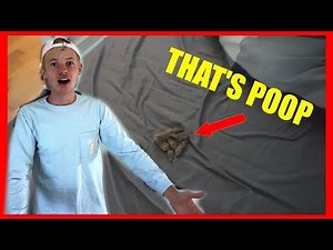 PUPPY POOP PRANK ON MY ROOMMATE!!