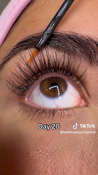 Transform Your Lashes: 30 Days of Lash By Maya