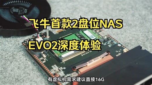 飞牛首款2盘位NAS！EVO2深度体验 ！