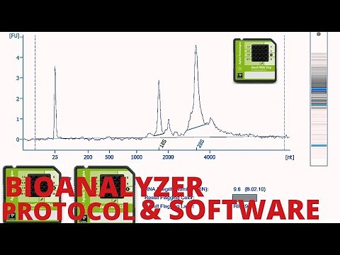 BIOANALYZER 2100 Protocol and Software Guide: Optimizing Your Analysis Workflow