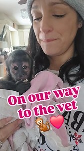 On our way to the vet for a 4 month, check up #animallover #monkey #fyp #veterinarymedicine #4months #fblifestyle | Lula Belle