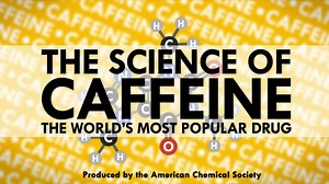 Here's how your life force--caffeine--works. | Reactions