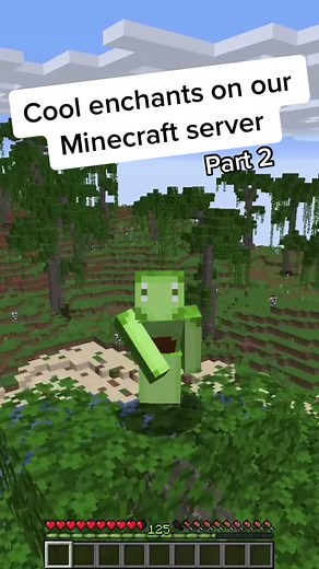 Come see them for yourself! #mc #minecraft #towny #pixelmon #skyblock #minecraftserver #townyserver #minecrafttown #customenchants #earthworld #fyp