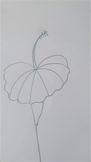 How to draw my favorite flower very easily| Drawing a flower|hibiscus|🌺#shorts #short #ytshorts