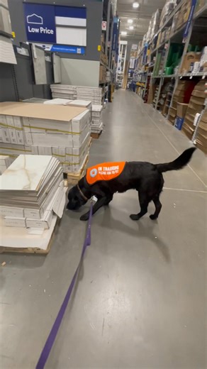 Think Pawsitively Dog Behavior, Training & Consulting on Reels