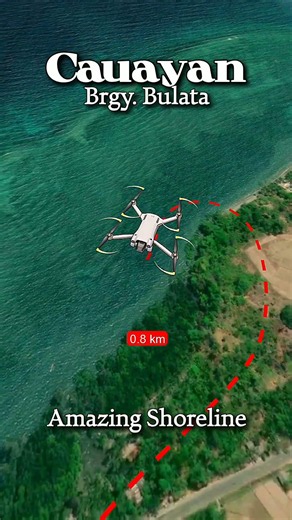 Aerial View of Shoreline in Bulata Cauayan Negros Occidental