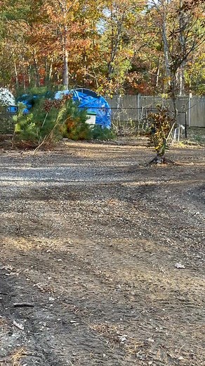 Clearing made easy with Salty Shores Property Maintenance! | Salty Shores Property Maintenance LLC