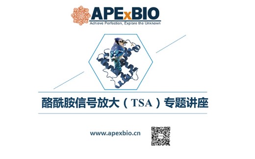 低丰度靶标检测新技术：酪酰胺信号放大(Tyramide signal amplification)在免疫组化和荧光原位杂交中的应用