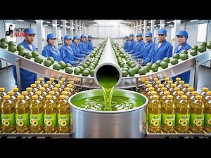 Inside the Factory NUNU: World’s Most Advanced Avocado Oil Processing Plant (Full Process)