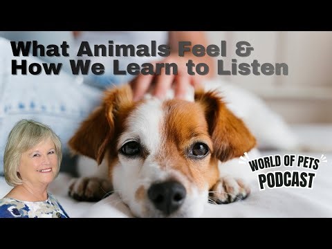 What Animals Feel & How We Learn to Listen | World of Pets Podcast