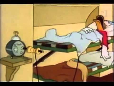 Donald Duck Sleeping