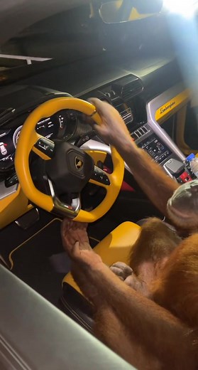 ‏Summer Vibes 🥷 #vvip #dubai