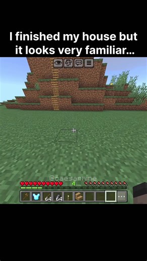 Concern for Minecraft House Survival