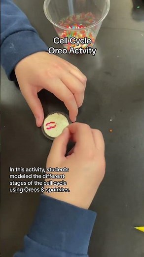 Cell cycle activity using Oreos & sprinkles! #cellcycle #firstyearteacher #teacherlife