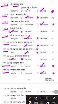 class 2 hindi Olympiad paper 2024 ‪@hindiolympiad‬ #meribhashahindibhasha