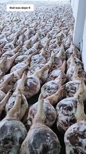 1.8K views | This is how ham is made. it's cured with salt, sugar,...