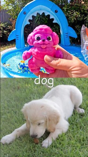Toy Learning Fun | Kids Learn Animal Names at the Shark Pool: Dog Cow Sloth Wildebeest