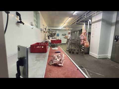 Azubi übernimmt den Stream und bekommt die Hälfte der Einnahmen 💪🏼🫡