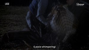 8.5K views · 63 reactions | Finding the only way out. #Lassie | Paramount Network Asia | Facebook