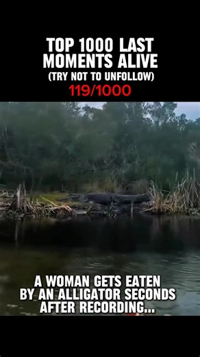 Last Moments Alive on Instagram: "Alligators might look slow and prehistoric, but they’re among the most dangerous predators humans can encounter. With bone-crushing jaw pressure and lightning-fast strikes from the water’s edge, they can pull a person under in seconds. Most attacks happen in shallow water—when escape is already unlikely. What makes them even more terrifying is how they kill. Alligators often drag prey underwater to drown them, sometimes storing the body to eat later. In places l