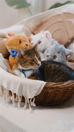 54K views · 681 reactions | A fuzzy, furry, family just in from...