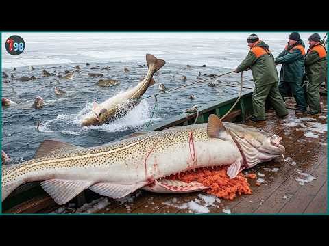2026’s Most Insane Fishing Moments 💥 30+ Incredible Catches You've Never Seen Before