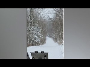 Snow check in: Gunflint Lodge