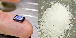 IBM Built a Computer the Size of a Grain of Salt. Here’s What It’s For