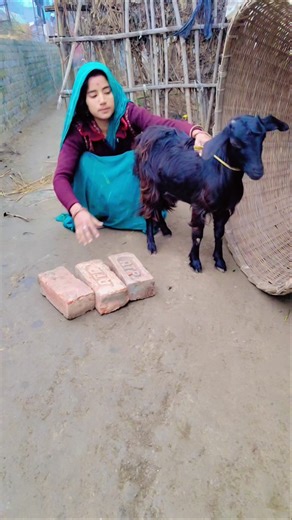 हरे राम हरे राम कृष्ण कटहल जादू 🙏🚩😱|| Hare rama hare krishna bhakti gana arjun kirtan part-174