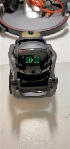 Vector 2.0 Timer Glitch: Countdown "Display" Issue.