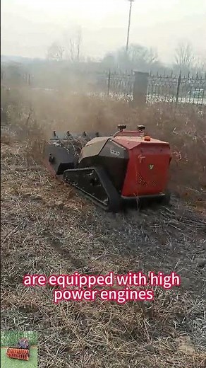 Factory direct sales low price buy online remotely controlled multitask flail mulcher#grassblock