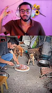 103K views · 50K reactions | Honest Dog’s Love! ❤️ .........️.................. Thanks for watching #MrIlluma #DogLove #TrueLoyalty dog saves food for puppies, honest pet moment, heart touching animal scene | Mahndi Hassan | Facebook