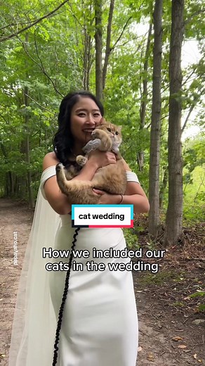 Cat themed wedding 🥹💕 #cat