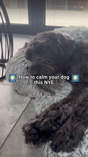 195K views · 115 reactions | Must protect at all costs  | Amazon.co.uk | Facebook