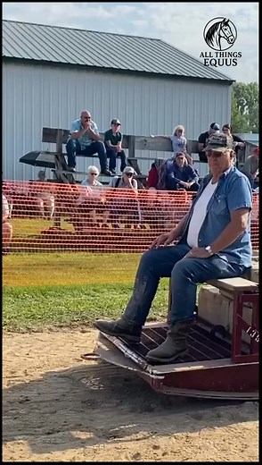 So easy dont you think #horse #belgian #pulls #drafthorses | Horse Pull