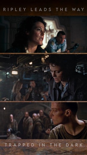 Hatching a plan for survival. #alien3 #alien1979 #aliens1988 #xenomorph #hrgiger #danobannon #scifimovies #creatures #monstermovie | Perfect Organism: The ALIEN Saga Podcast