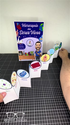Hierarquia dos Seres Vivos: Recurso Pedagógico Interativo