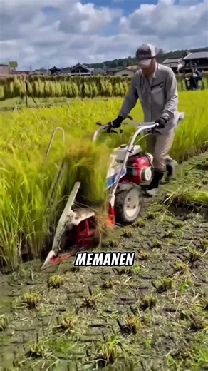 Rahasia di balik majunya pertanian China.#pertanian #TeknologiPertanian #infomenarik #harvest #fyi