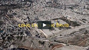 Long Live King David