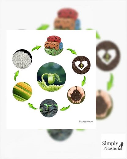 Pet Poop Waste Bag Biodegradable Compostable