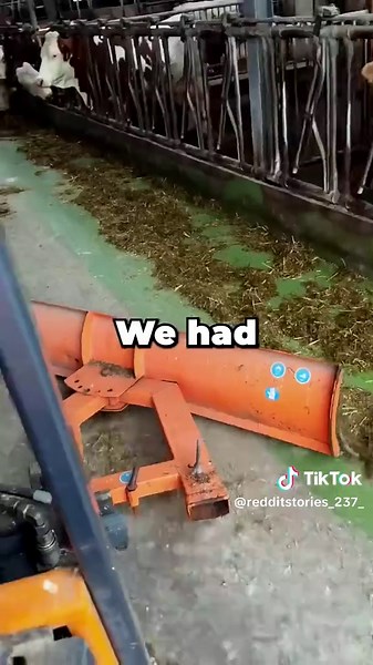 Funny Family Stories That Seem Kinda Messed Up