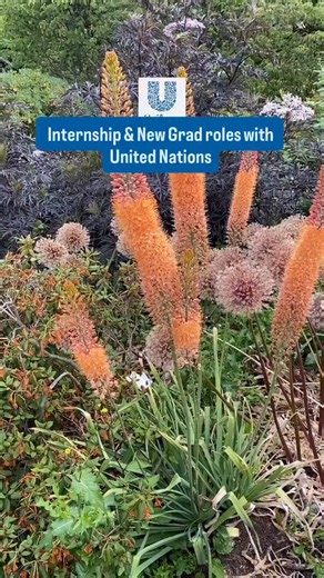 Hiral | Scholarship, Internship & Career abroad on Instagram: "UNDP Internship 2026 in Denmark 🇩🇰 is now open! 📍 Location: Copenhagen ⏳ Duration: 6 months 🌍 Eligibility: Open to all nationalities; undergraduates, master’s students & recent graduates (within 1 year). 💼 Roles: People Development Intern 💰 Stipend: $1000/month How to apply: Submit your application online through the official UNDP careers portal. Deadline: 3 Dec 2025 Link: https://estm.