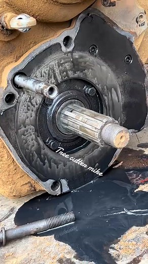 11 reactions | #timberjack240 #breaks #550xpmarkll #xcutchain #hoffmanboots #klein #loggertok #loggerlife . #viralreelsfacebook #viralreels #viralvideochallenge #jumper #jump #viralpost2024 #viralreelsfb #comedy #jumpchallenge #viralreelsfacebook #viralreels #viralvideochallenge #hilights #history #love #foryoupageシ #lpost2024 #reelsfacebook #famliy #li #viralstunts #205k #usa @top fans | Jazlyn Smith | Facebook