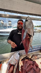 Eating raw tuna 🍣 | Stephen Hazlife Fultz