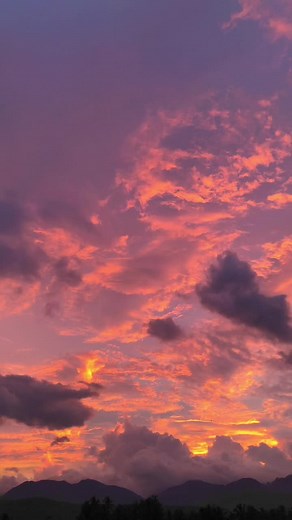 pikal (@pikal.xry)’s videos with somebodys pleasure another version 2 - ourfeelings🪐