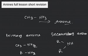 Amines full lesson short revision... | Filo