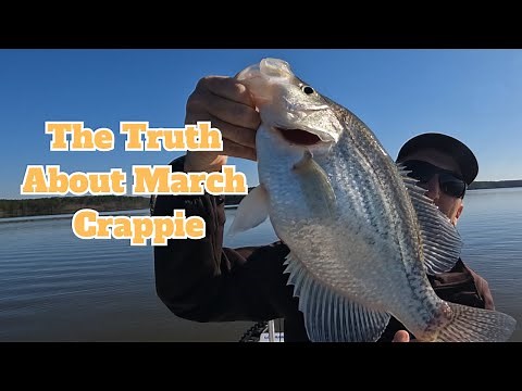 The Truth About March Crappie - Fishing with Livescope Footage