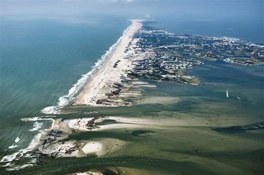 Sebagian Besar Habitat Pesisir Pernah Musnah, Pemulihannya Lama | National Geographic