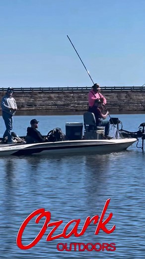Who needs a hookset when you have a BRUSHBUSTER⚡️⚡️⚡️ The tools used to put this giant hybrid in the boat are linked below 👇👇👇👇 13’ brush buster 🔗 https://ozarkrod.com/product/brush-buster-jigging-rod/ Crappie Monster net 🔗 https://othfishing.com/product/the-outlaw/t | Ozark Rods